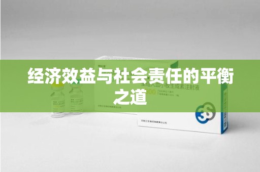 威海经济效益与社会责任的平衡之道