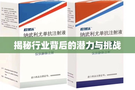 威海揭秘行业背后的潜力与挑战
