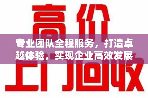威海专业团队全程服务，打造卓越体验，实现企业高效发展
