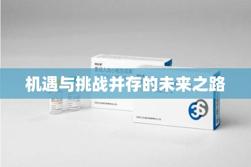 威海机遇与挑战并存的未来之路