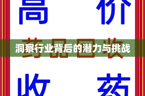 威海洞察行业背后的潜力与挑战