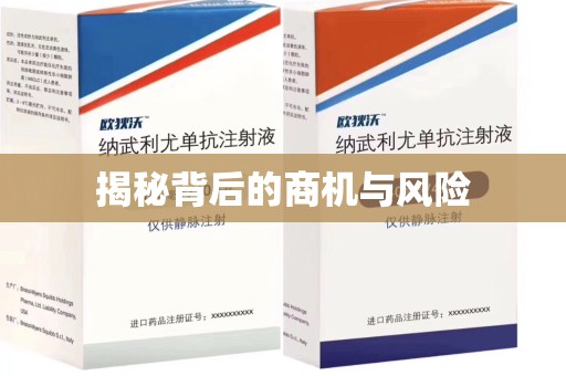 威海揭秘背后的商机与风险